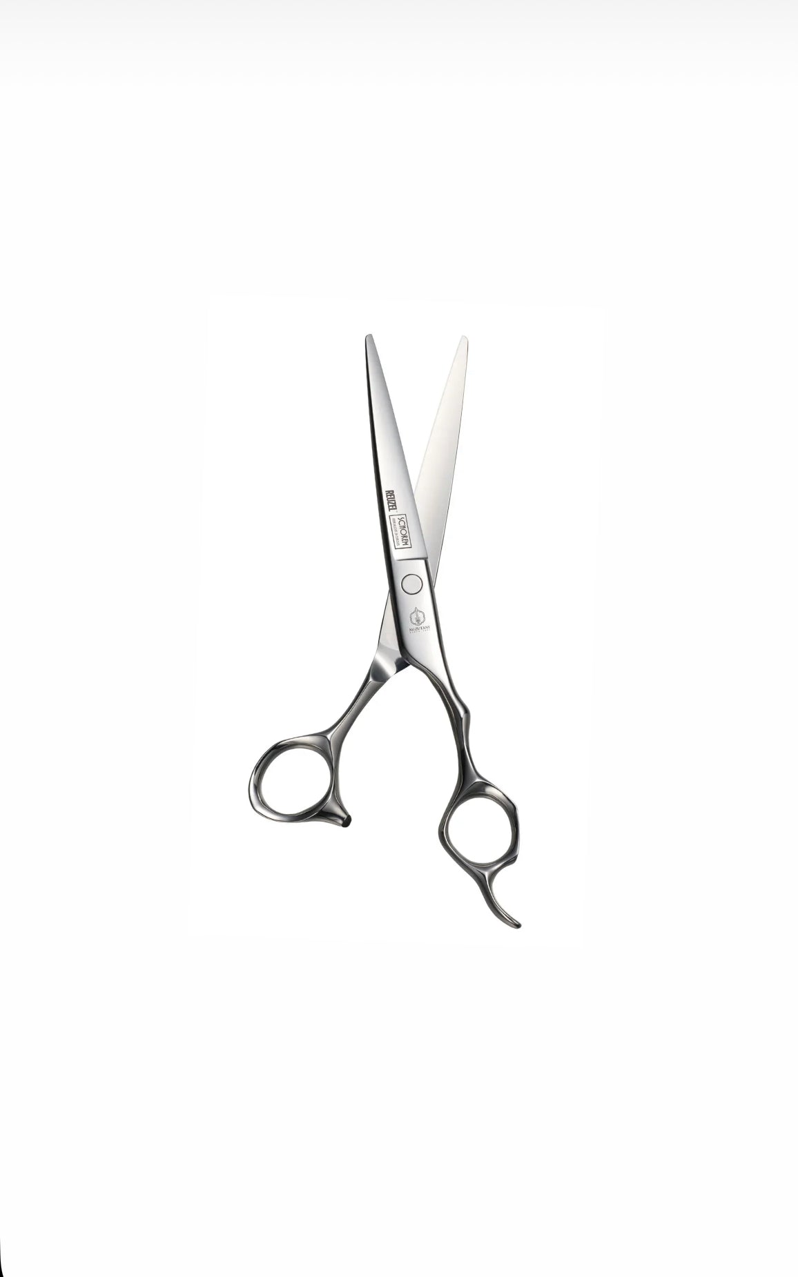 Mizutani Schorem Master